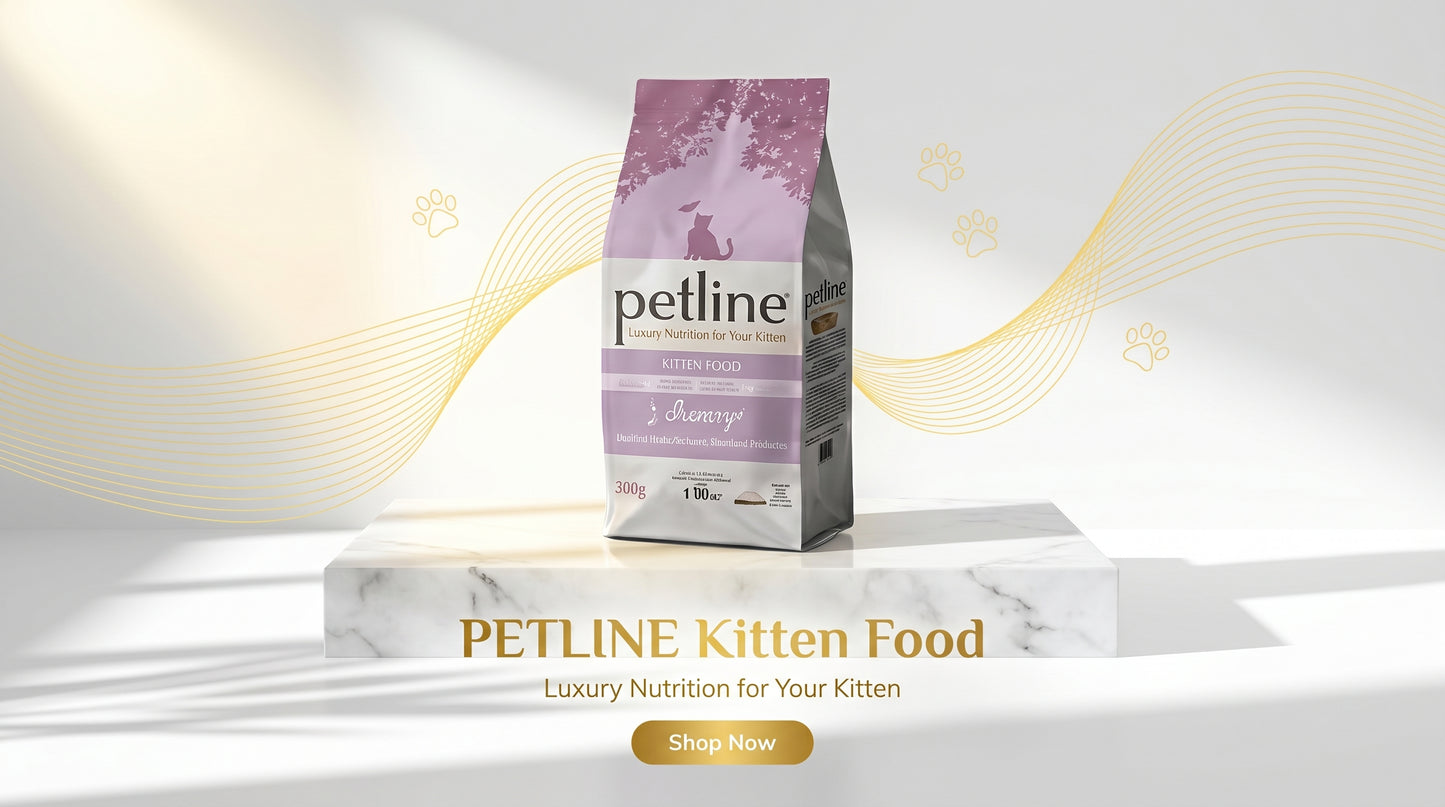 PETLINE Kitten Food 500G/1.5KG/10KG - Premium Dry Kitten Food in Pakistan RizFrazWorld
