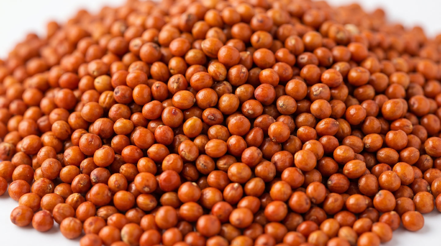 Red Kangni Bird Feed 500g - Premium Laal Kangni Seeds for Finches, Canaries & Pet Birds RizFrazWorld