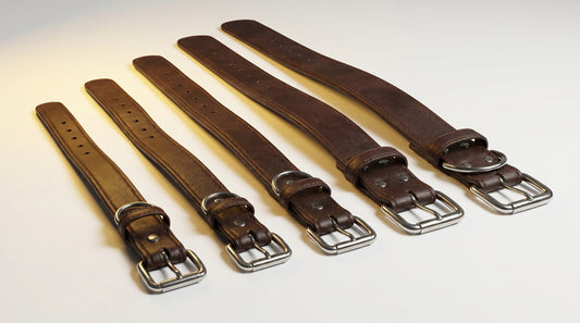 Leather Dog Collar S, M, L, XL & XXL - Premium Adjustable Pet Collar RizFrazWorld