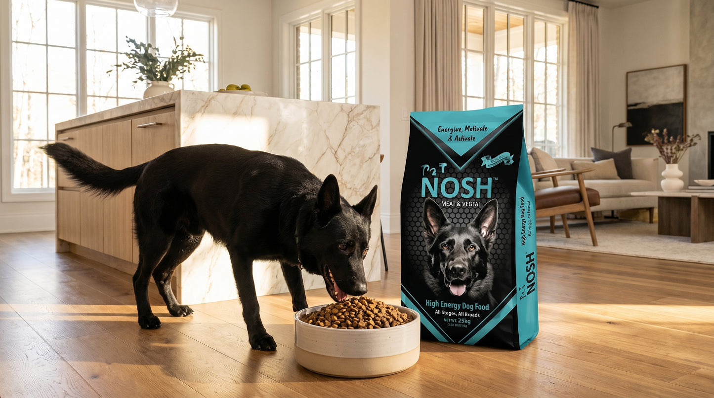 PETNOSH High Energy Dog Food 15KG - Complete Nutrition for Active Adult Dogs RizFrazWorld