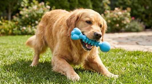 Teather Toy Spikes Large | Interactive Dog Chew Toy RizFrazWorld