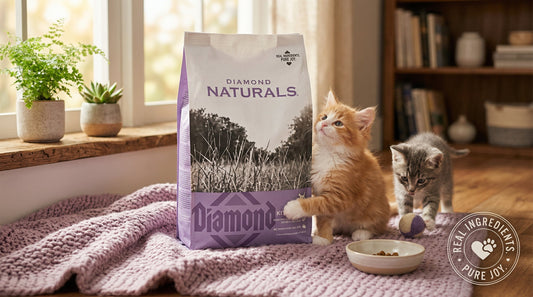 Diamond Naturals Kitten Food 1KG – Natural Nutrition for Healthy Growth & Development RizFraz World
