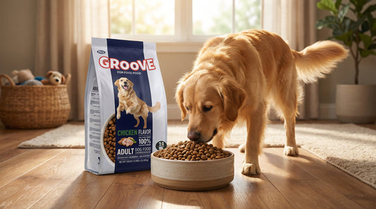 Groove Adult Dog Food 1.2KG – Complete Daily Nutrition with Chicken or Beef for Adult Dogs RizFraz World
