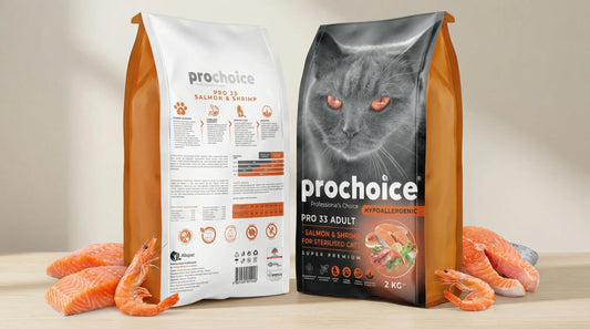 PRO CHOICE Sterilised Cat Food – Salmon & Shrimp | Balanced Dry Nutrition (2kg / 15kg) RizFrazWorld