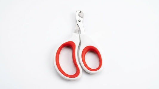 Pet Nail Clipper Large (Scissor Type) – Safe & Easy Grooming Tool for Cats & Dogs RizFraz World