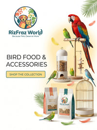 Bird Food & Accessories