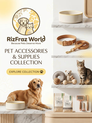 Pet Accessories & Supplies