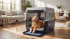 JETBOX Pet Cage with Removable Tray – Heavy Duty Dog & Cat Crate - S, M, L, XL, XXL