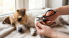 Nunbell Scissor Nail Clipper for Cats & Dogs – Safe & Easy Pet Grooming Tool