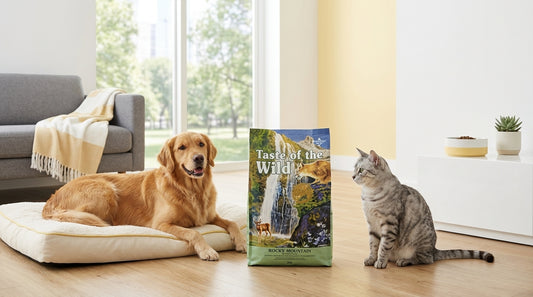 Taste of the Wild Dry Pet Food 2KG/6.6KG - Premium Pet Food RizFraz World