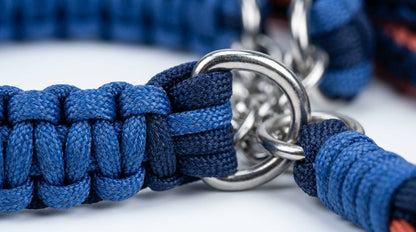 Rope Leash with Choke Collar for Dogs (S, M, L, XL) – Strong Training & Control Leash RizFraz World