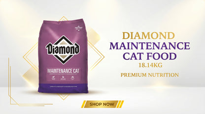 Diamond Maintenance Cat Food 18.14KG - Premium Dry Cat Food RizFraz World
