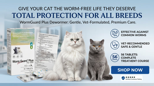 WormGuard Deworming One Tablet  for Cats - Cat Digestive & Hygiene Care