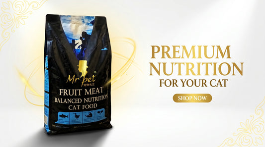 MR PET Cat Food 500G/1.5KG/3KG/10KG - Premium Dry Cat Food RizFraz World