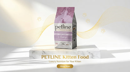PETLINE Kitten Food 500G/1.5KG/10KG - Premium Dry Kitten Food in Pakistan RizFrazWorld