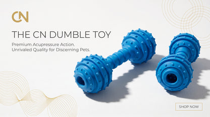 CN Dumble Toy - Interactive Dog Chew Toy RizFraz World