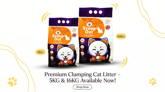 Scoop Out Cat Litter 5KG & 16KG - Premium Cat Litter for Daily Use RizFraz World