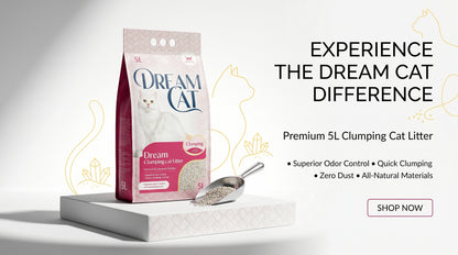 Dream Cat Litter 5L - Premium Cat Litter for Daily Hygiene RizFraz World