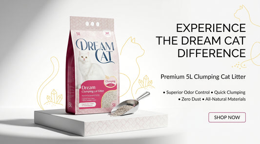 Dream Cat Litter 5L - Premium Cat Litter for Daily Hygiene RizFraz World