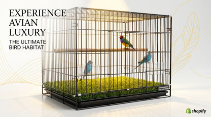 Bird Cage 2x1.5x1.5 - Spacious Pet Bird Cage for Everyday Use RizFraz World