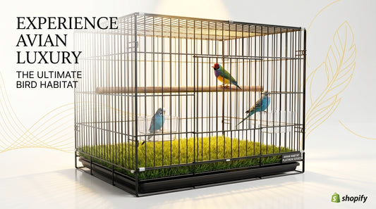 Bird Cage 2x1.5x1.5 - Spacious Pet Bird Cage for Everyday Use RizFraz World