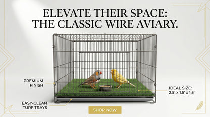 Bird Cage 2.5x1.5x1.5 - Spacious Pet Bird Cage for Comfortable Living RizFraz World