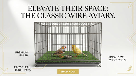 Bird Cage 2.5x1.5x1.5 - Spacious Pet Bird Cage for Comfortable Living RizFraz World