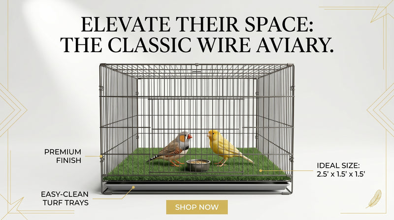 Bird Cage 2.5x1.5x1.5 - Spacious Pet Bird Cage for Comfortable Living RizFraz World