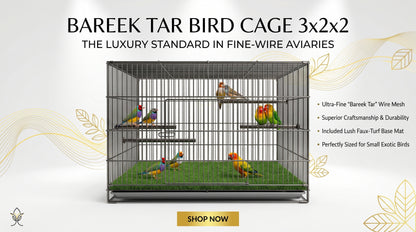 Bird Cage 3x2x2 Bareek Tar - Large Premium Bird Cage for Pet Birds RizFraz World
