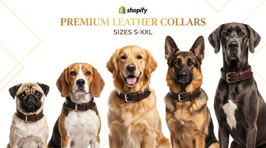 Leather Dog Collar S, M, L, XL & XXL - Premium Adjustable Pet Collar RizFrazWorld