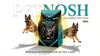 PETNOSH High Energy Dog Food 15KG - Complete Nutrition for Active Adult Dogs