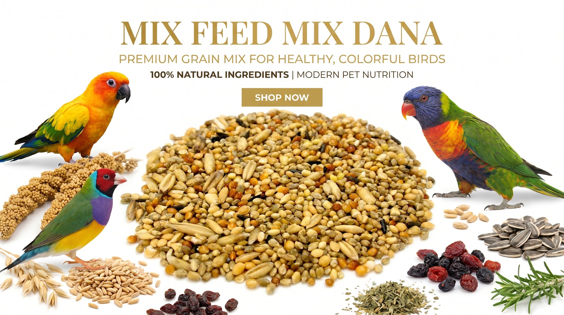 Mix Feed Mix Dana for Birds - Premium Multi Grain Bird Feed & Daily Nutrition RizFrazWorld