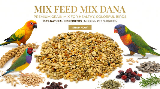 Mix Feed Mix Dana for Birds - Premium Multi Grain Bird Feed & Daily Nutrition RizFrazWorld