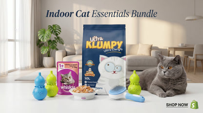 Indoor Cat Essentials Bundle - Premium Indoor Cat Care Package