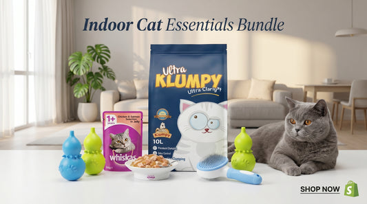 Indoor Cat Essentials Bundle - Premium Indoor Cat Care Package