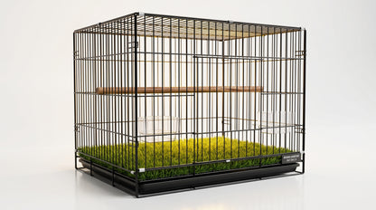Bird Cage 2x1.5x1.5 - Spacious Pet Bird Cage for Everyday Use RizFraz World