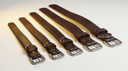 Leather Dog Collar S, M, L, XL & XXL - Premium Adjustable Pet Collar RizFrazWorld