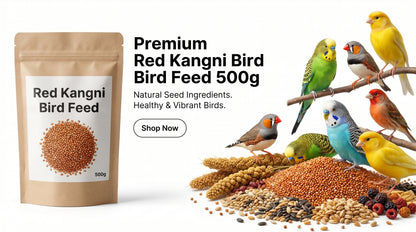 Red Kangni Bird Feed 500g - Premium Laal Kangni Seeds for Finches, Canaries & Pet Birds RizFrazWorld