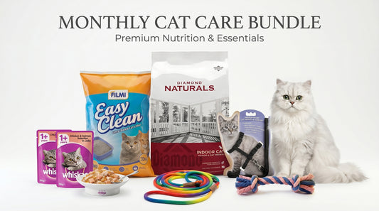 Monthly Cat Care Bundle - Cat Food, Litter & Treat Essentials