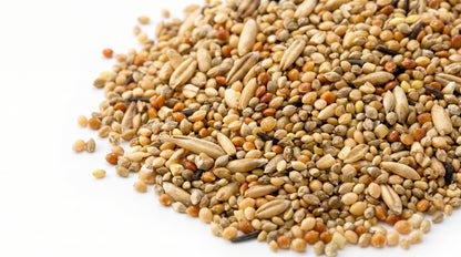 Mix Feed Mix Dana for Birds - Premium Multi Grain Bird Feed & Daily Nutrition RizFrazWorld