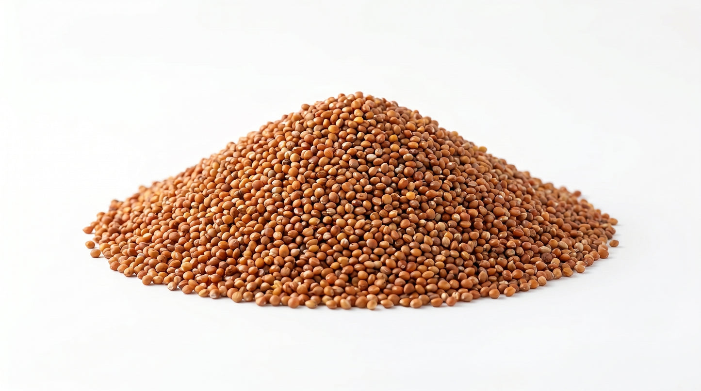 Red Kangni Bird Feed 500g - Premium Laal Kangni Seeds for Finches, Canaries & Pet Birds RizFrazWorld