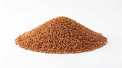 Red Kangni Bird Feed 500g - Premium Laal Kangni Seeds for Finches, Canaries & Pet Birds RizFrazWorld
