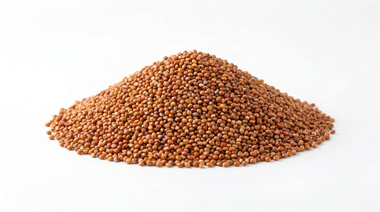 Red Kangni Bird Feed 500g - Premium Laal Kangni Seeds for Finches, Canaries & Pet Birds RizFrazWorld