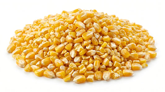 Crushed Corn Bird Feed - Premium Cracked Corn Feed for Poultry, Pigeons & Pet Birds RizFrazWorld