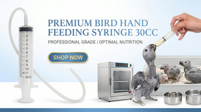 Bird Hand Feeding Syringe 30CC with Silicone Tube - Baby Bird Feeding Syringe for Chicks & Hand Rearing RizFrazWorld