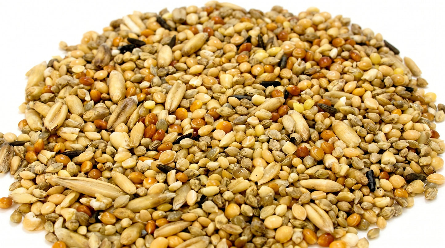 Mix Feed Mix Dana for Birds - Premium Multi Grain Bird Feed & Daily Nutrition RizFrazWorld