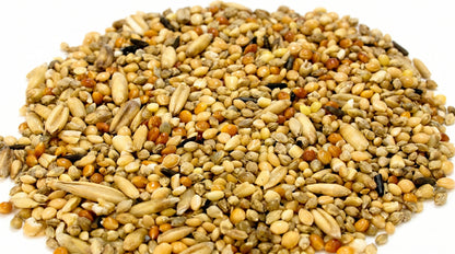 Mix Feed Mix Dana for Birds - Premium Multi Grain Bird Feed & Daily Nutrition RizFrazWorld