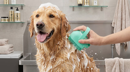 Silicone Massage Bath Brush for Pets - Soft Grooming & Bath Brush for Cats & Dogs RizFrazWorld