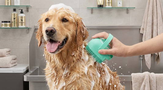 Silicone Massage Bath Brush for Pets - Soft Grooming & Bath Brush for Cats & Dogs RizFrazWorld