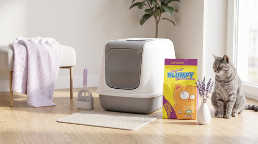 Klumpy Lavender Cat Litter 5KG & 16KG - Premium Lavender Cat Litter RizFraz World
